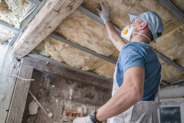 Best DIY Insulation Kits and Guidance in Minier, IL