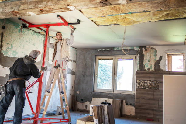 Best Cellulose Insulation in Minier, IL