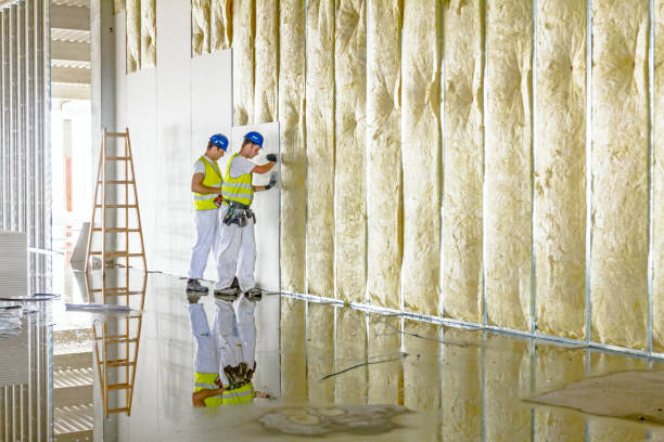 Best Fiberglass Insulation in Minier, IL